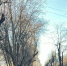 Теплый апрель ждет Кировскую область - ProGorod.Ru