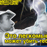 «Кировэнерго» призывает дачников соблюдать правила электробезопасности - Kirov.Online