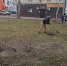 В Кирове с 18-25 апреля пройдут субботники по уборке территорий - ГТРК Вятка