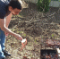 От заморозков до лета за день: какими будут майские праздники 2026 в России - ProGorod.Ru