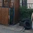 Кировчан просят сдать старые автомобильные покрышки - ProGorod.Ru