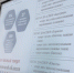 Развитие адаптивного спорта в Кировской области - Общественная палата