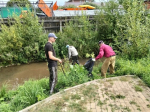 В Метрограде убрали стихийную свалку 6 В Метрограде убрали стихийную свалку