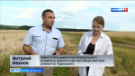 На опытных площадках Научного центра Северо-Востока имени Рудницкого продолжается селекционная работа